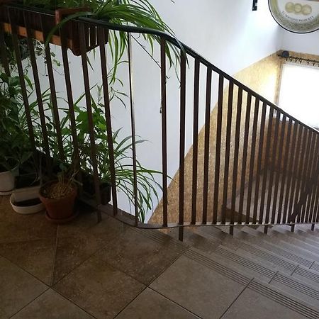 格但斯克运动员洛克旅馆公寓 外观 照片